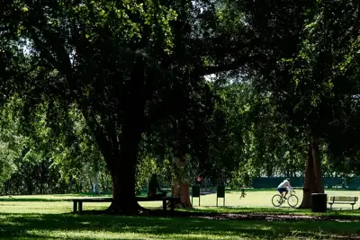 Arbor, Miami, photo 12
