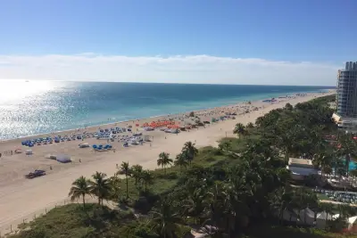 100 Lincoln Rd #1642, Miami Beach: photo 1 of 56