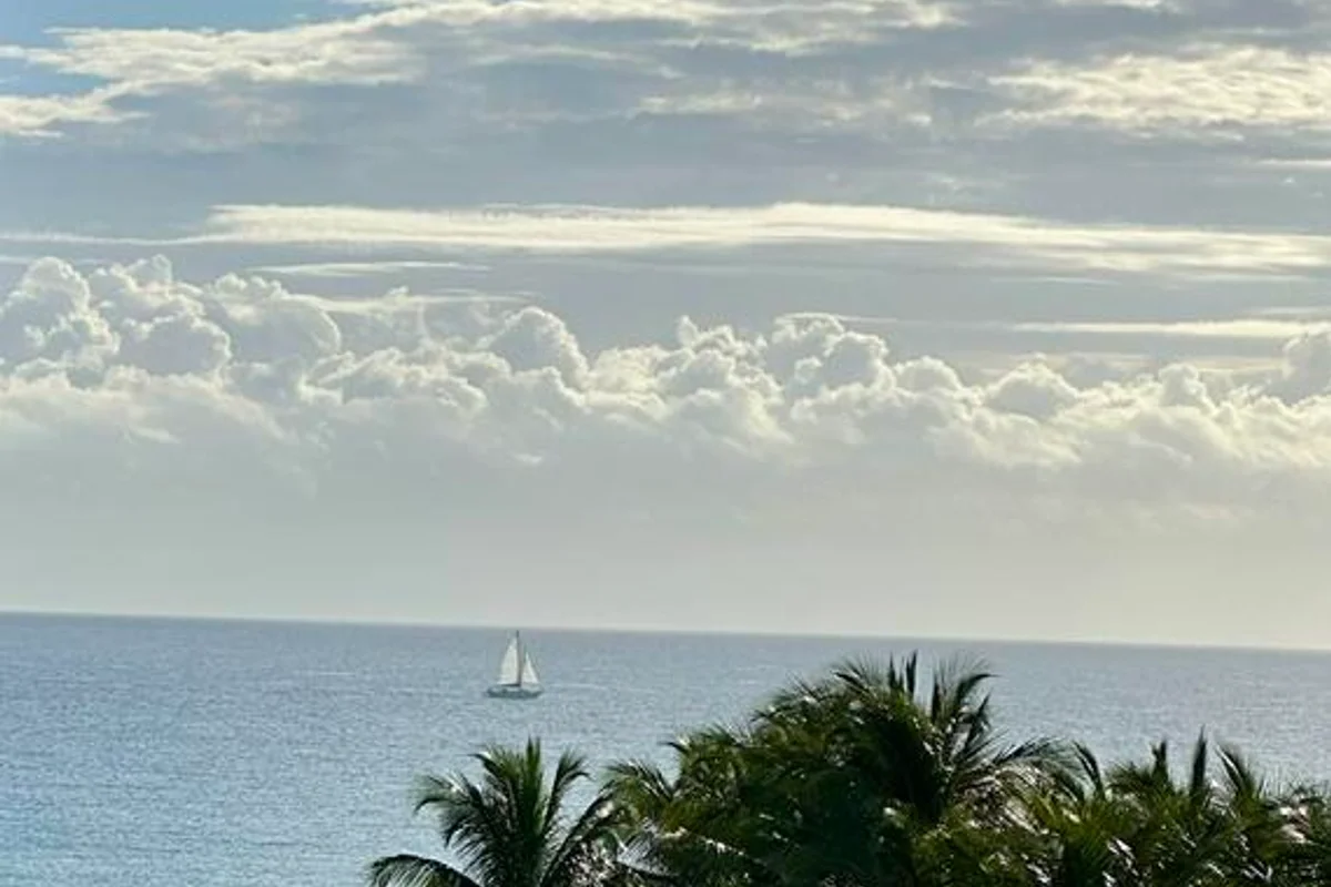 3400 N Ocean Dr #706, Riviera Beach: photo 1 of 41