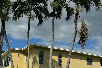 1141 Violet Ter #202, Delray Beach: photo 1 of 46
