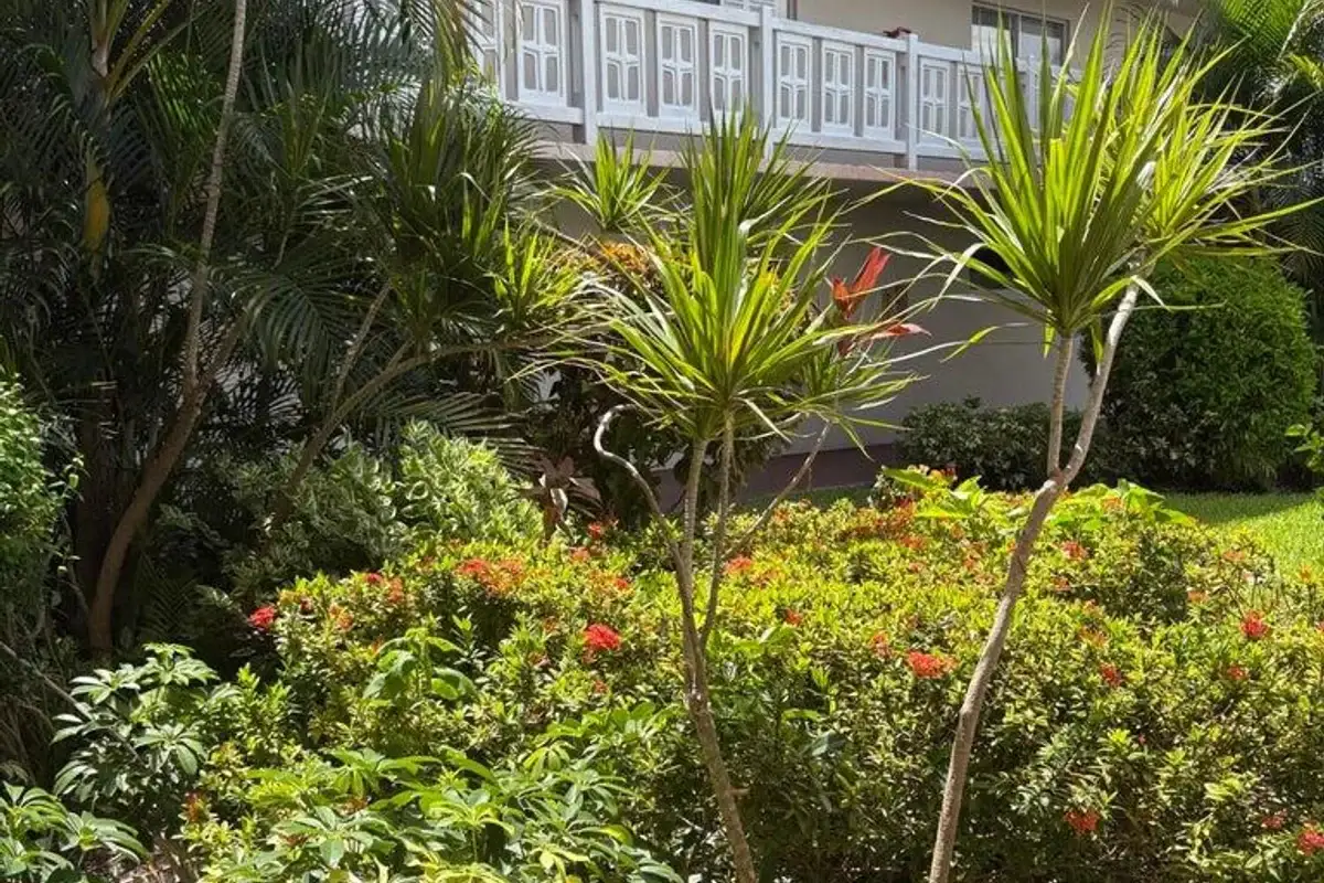2770 S Garden Dr #304, Lake Worth: photo 1 of 26