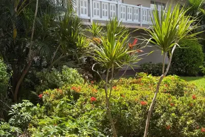 2770 S Garden Dr #304, Lake Worth: photo 1 of 26