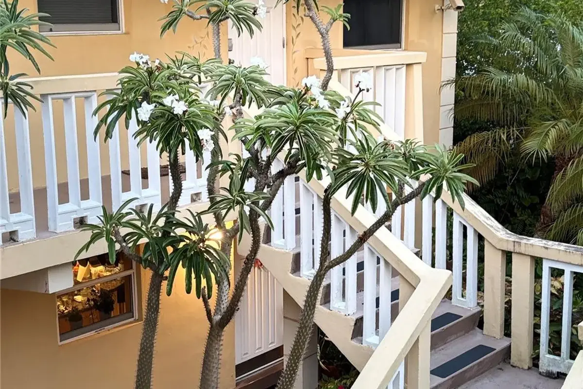 811 NE 14th Pl #6, Fort Lauderdale: photo 1 of 2