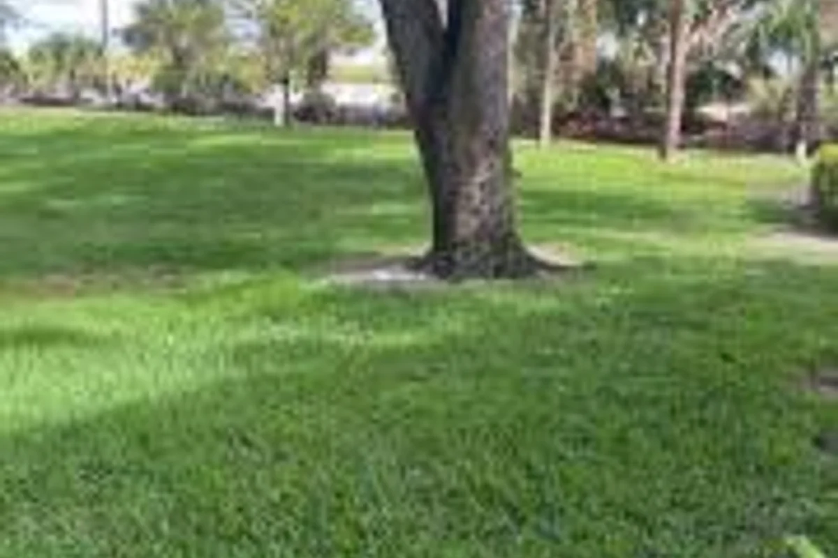 3017 30th Ct, Jupiter: photo 1 of 11