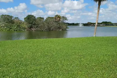 92 Seville Dr, Delray Beach: photo 1 of 30