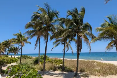 1370 S Ocean Blvd S #1403, Pompano Beach: photo 1 of 49
