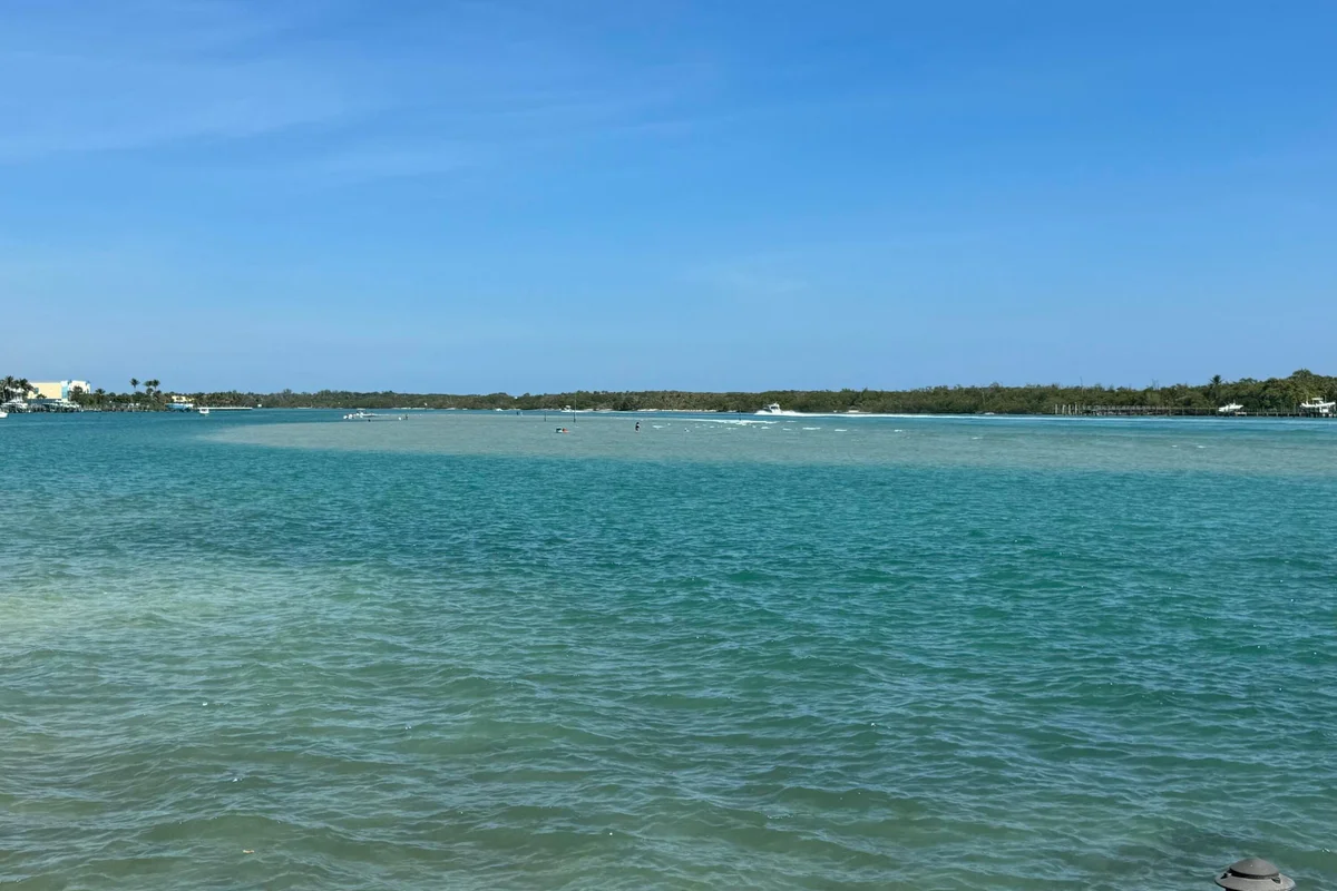 200 Intracoastal Pl #404, Jupiter: photo 1 of 95