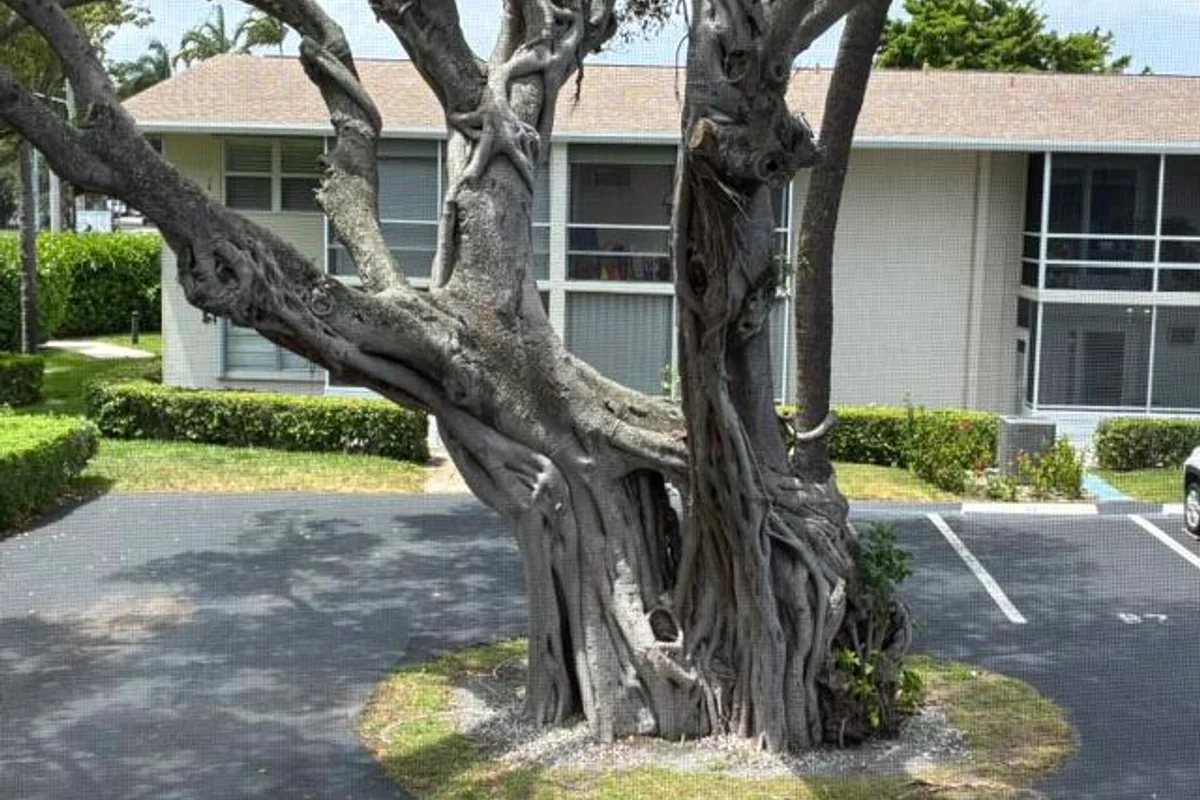 620 Horizon W #202, Boynton Beach: photo 1 of 17