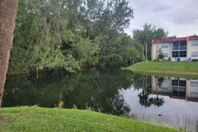 356 Lake Dora Dr, West Palm Beach: photo 1 of 36