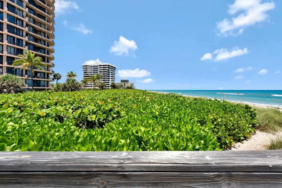 530 Ocean Dr #202, Juno Beach: photo 1 of 24
