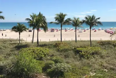 100 Lincoln Rd #1126, Miami Beach: photo 1 of 58