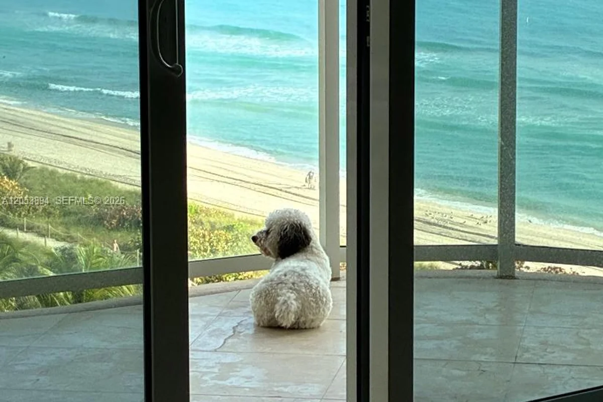 8855 Collins Ave #11B, Surfside: photo 1 of 5