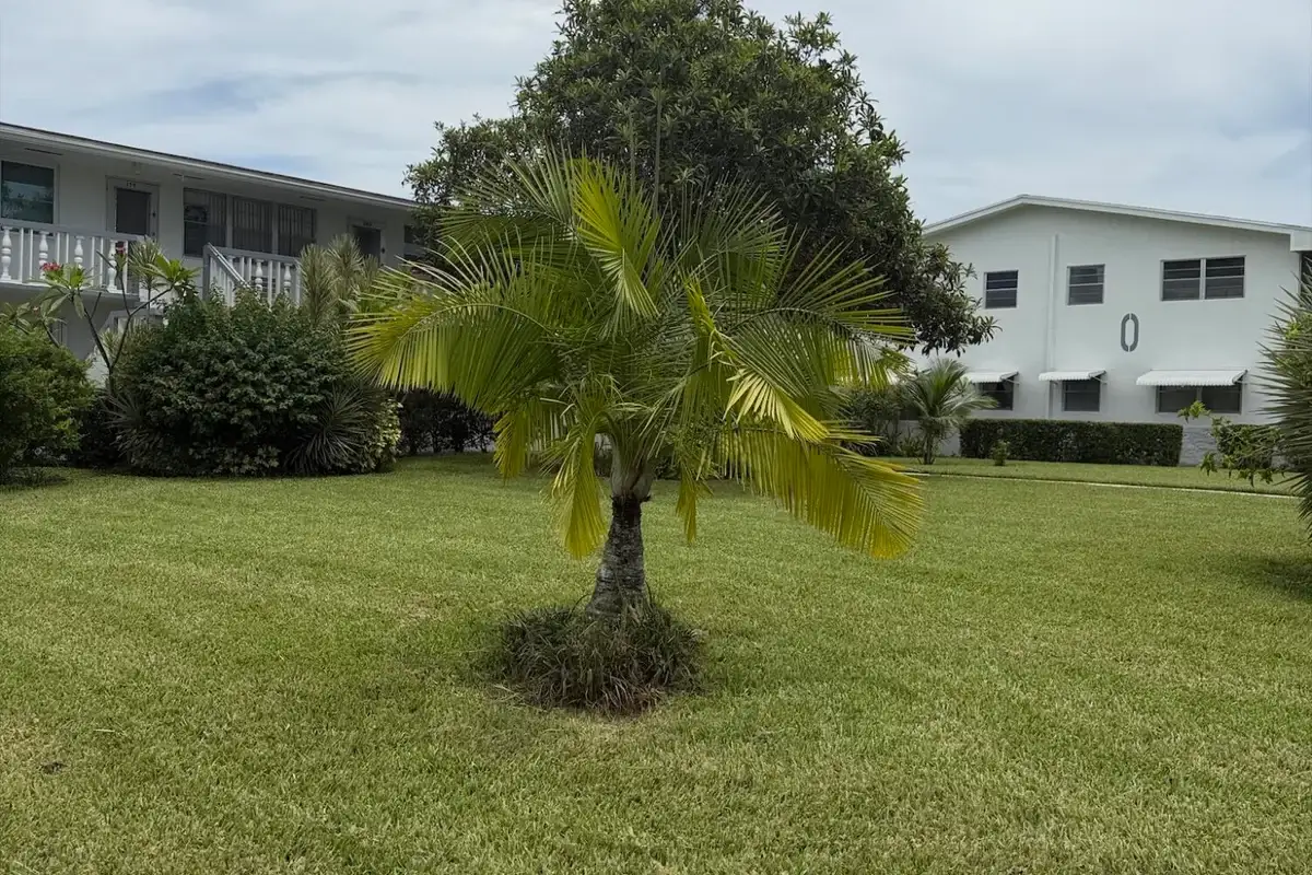352 Sheffield O, West Palm Beach: photo 1 of 14