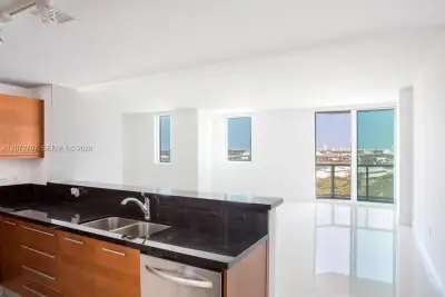 244 Biscayne Blvd #2402, Miami: photo 1 of 19