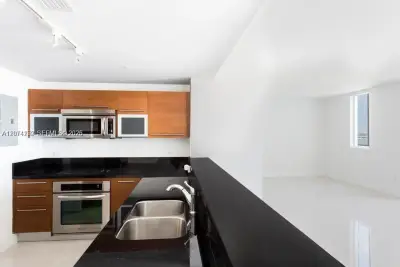 244 Biscayne Blvd #1002, Miami: photo 1 of 17