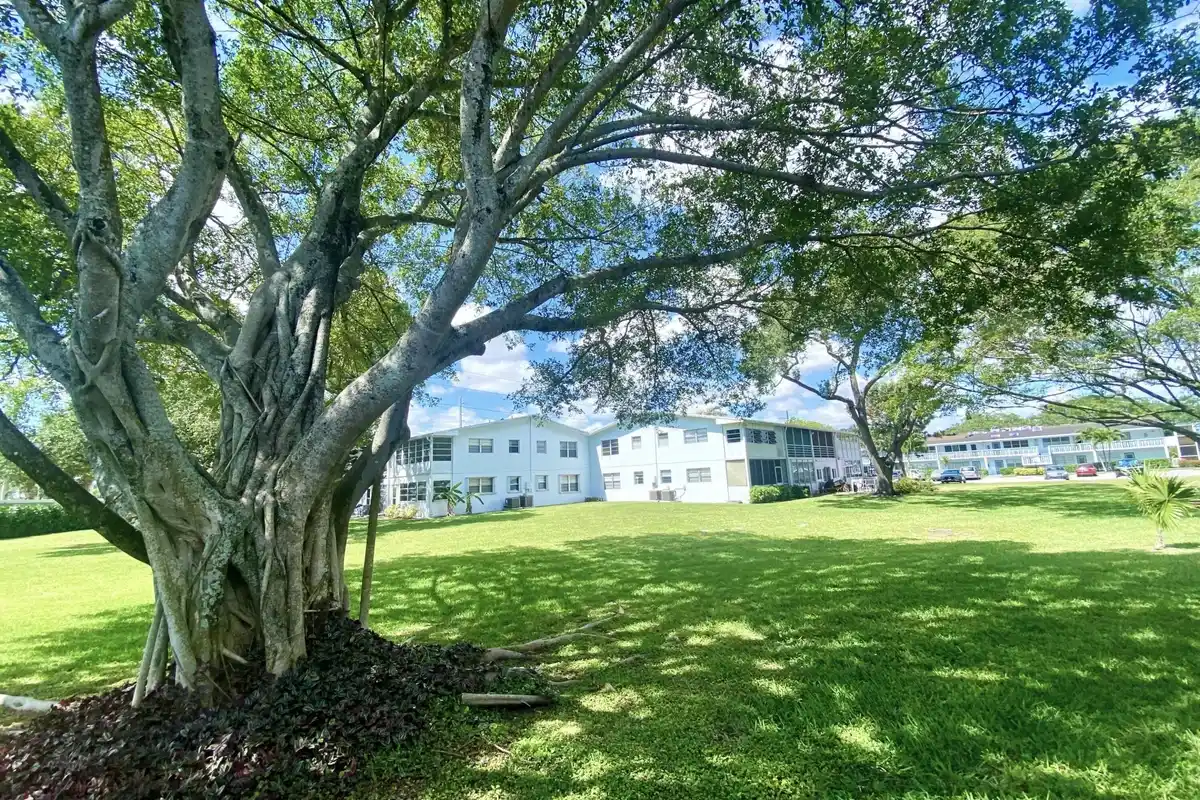 335 Farnham P, Deerfield Beach: photo 1 of 31