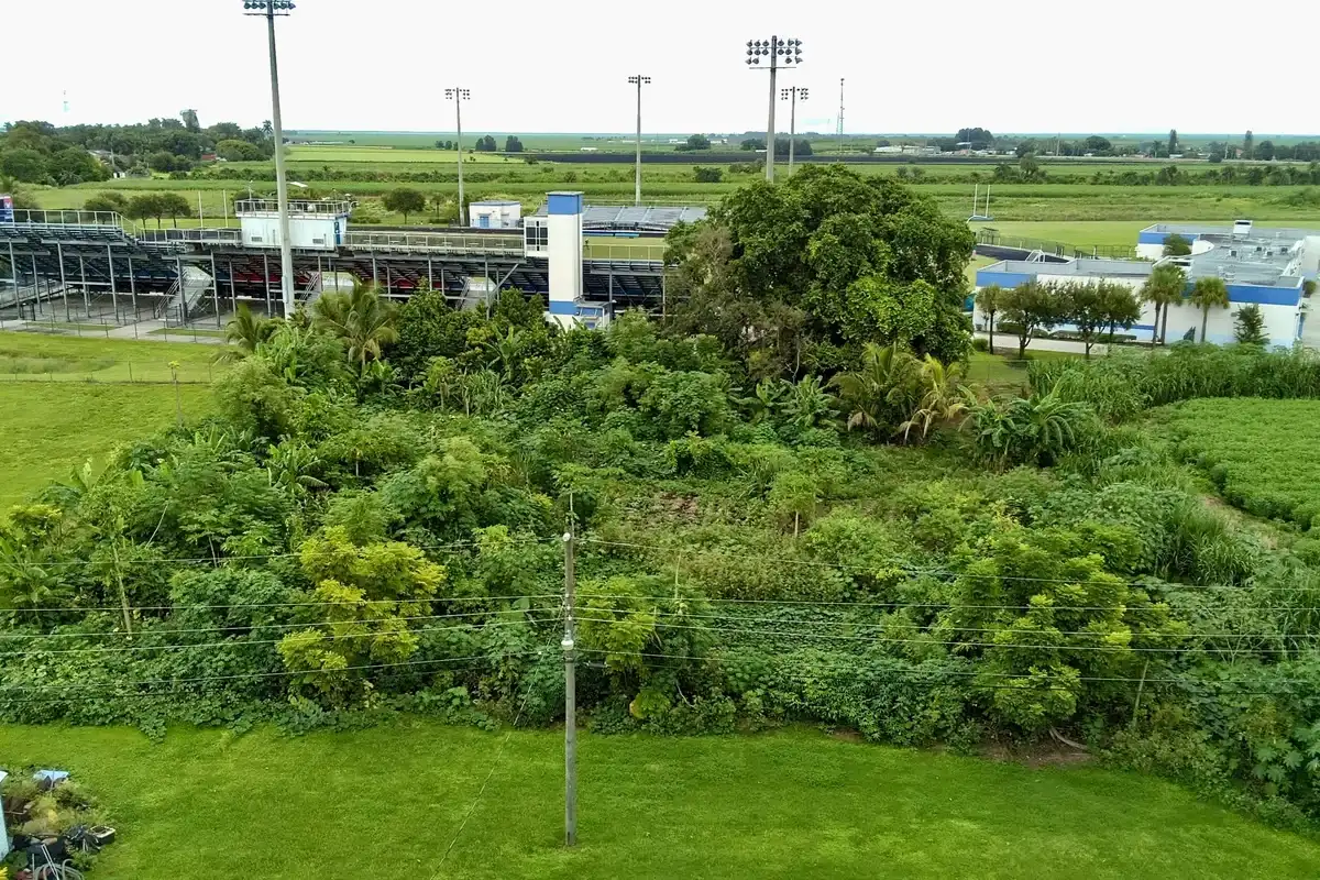 0 kismet, Pahokee: photo 1 of 6