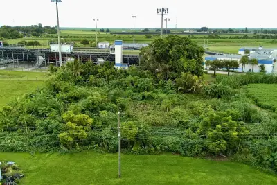 0 kismet, Pahokee: photo 1 of 6