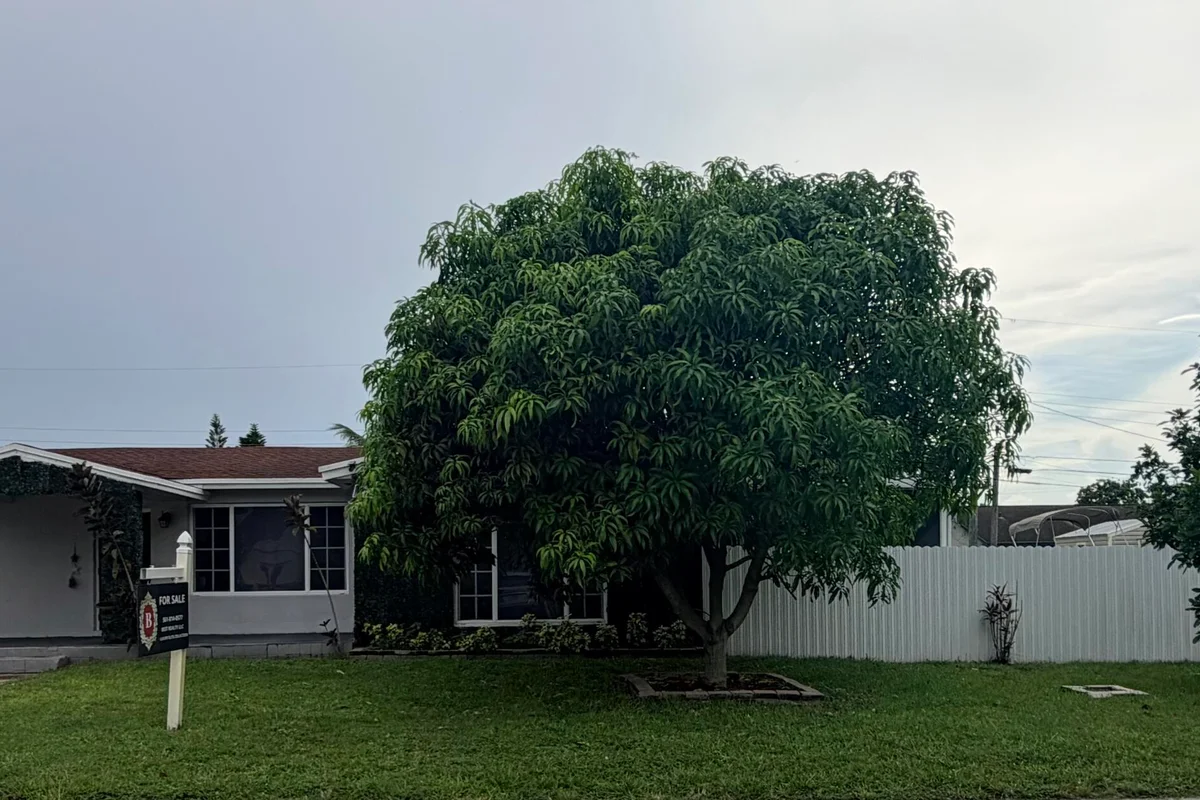 2000 SW 95th Ter, Miramar: photo 1 of 30