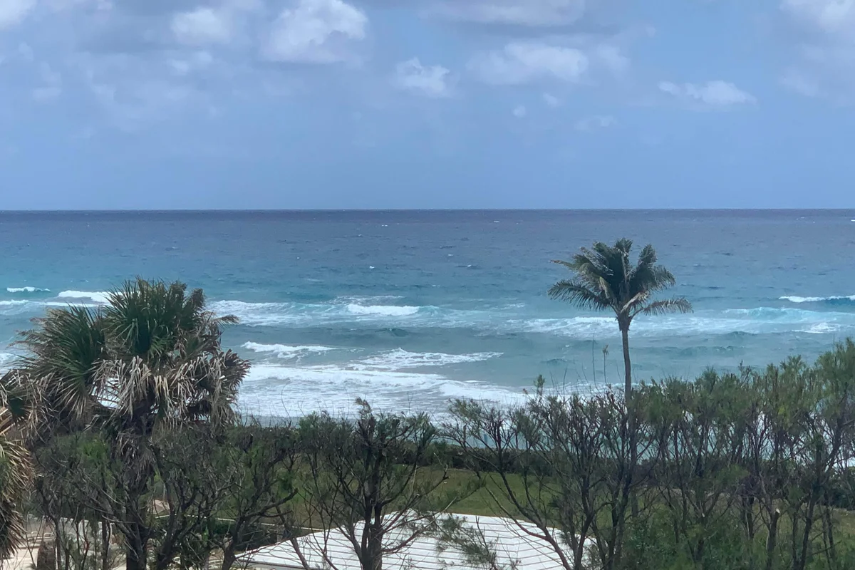 3450 S Ocean Blvd #401, Palm Beach: photo 1 of 51
