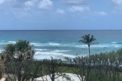 3450 S Ocean Blvd #401, Palm Beach: photo 1 of 51