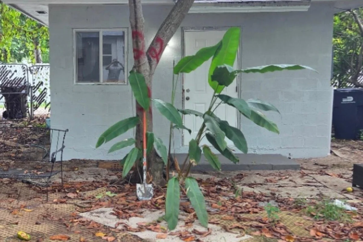 1243 NE 159th St, North Miami Beach: photo 1 of 9