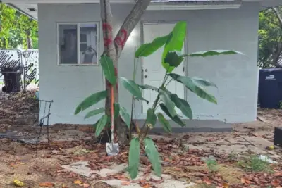 1243 NE 159th St, North Miami Beach: photo 1 of 9