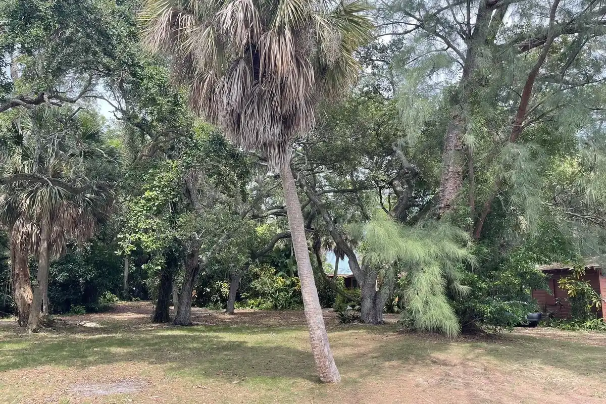 806 S Lakeside Dr, Lake Worth Beach: photo 1 of 5