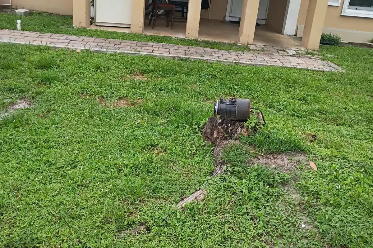 House in West Palm Beach: photo 1 of 1