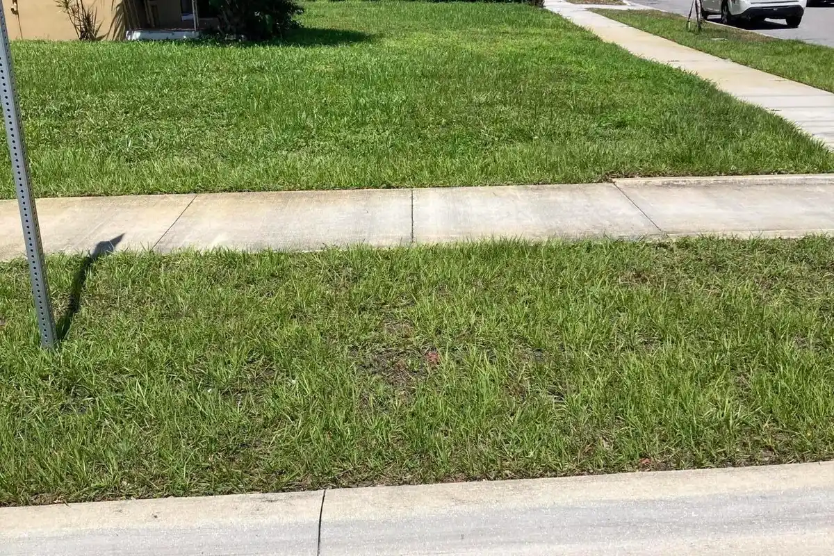 939 35th St, West Palm Beach: photo 1 of 2