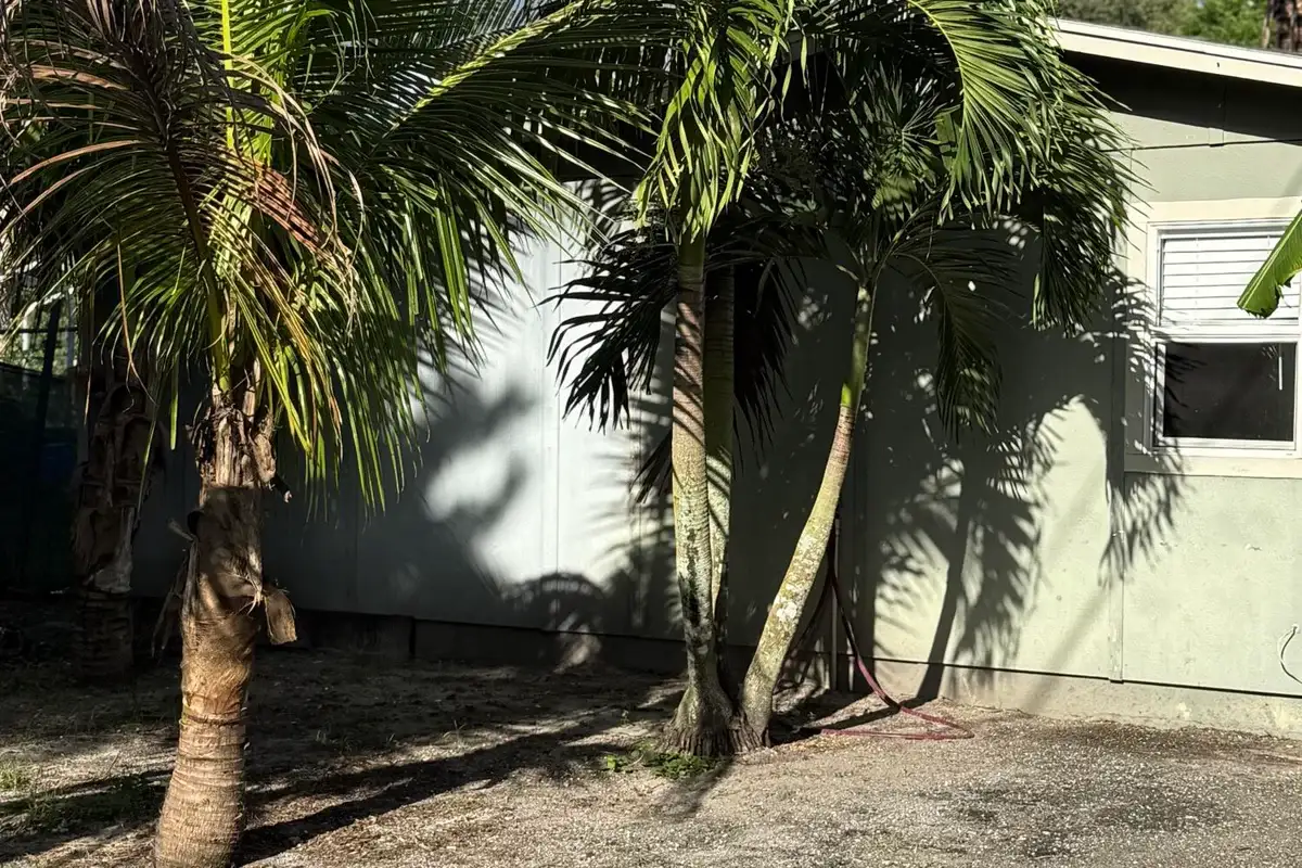 151 Valencia Dr, Loxahatchee: photo 1 of 7