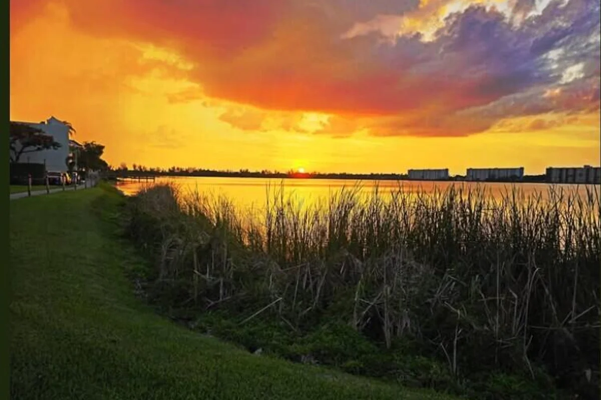 106 Lake Emerald Dr #114, Oakland Park: photo 1 of 42