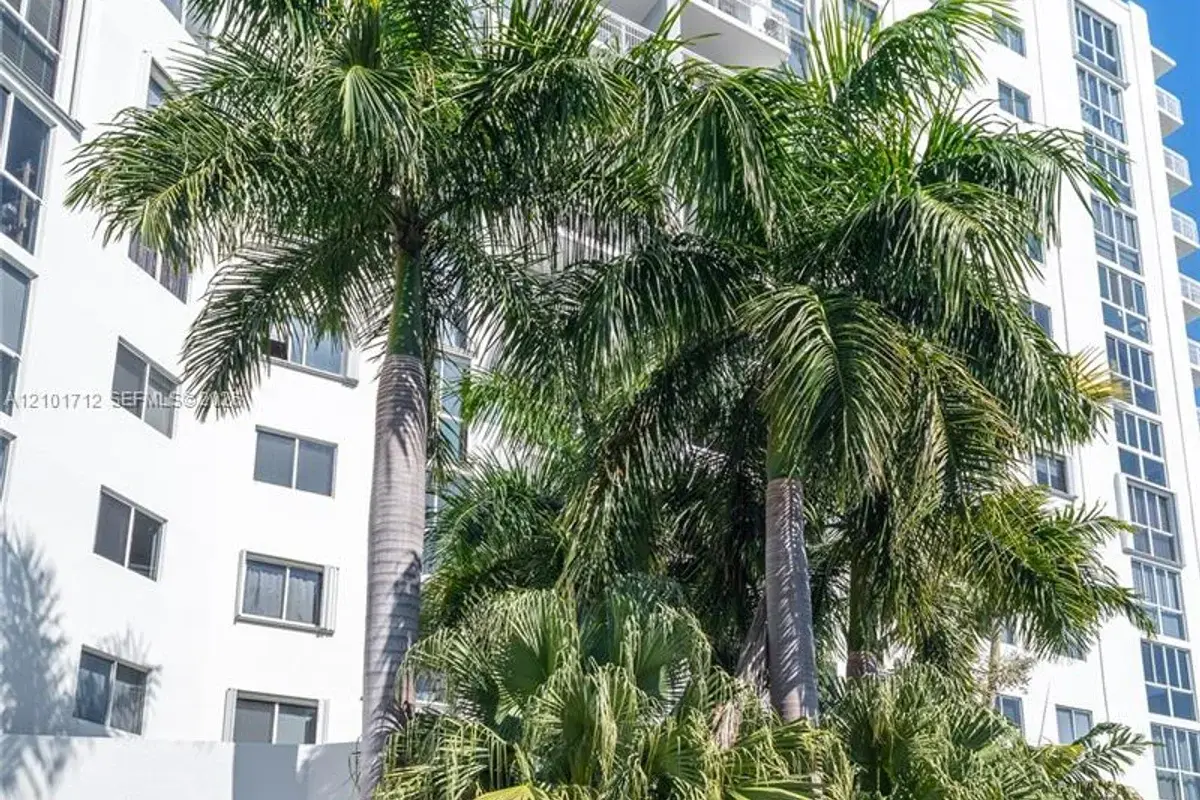 Condo in Miami Beach: photo 1 of 17