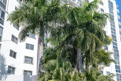 Condo in Miami Beach: photo 1 of 17