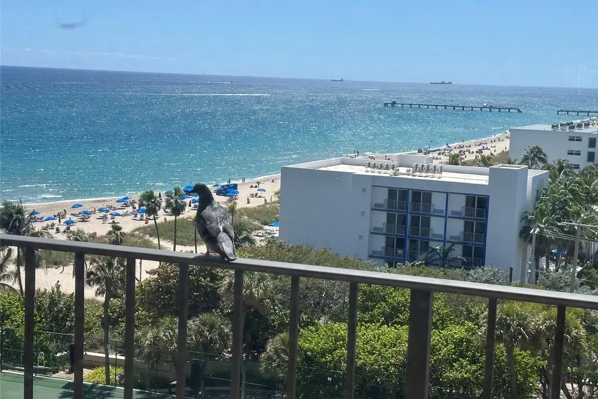 4900 N Ocean Blvd #1003, Lauderdale-by-the-Sea: photo 1 of 26