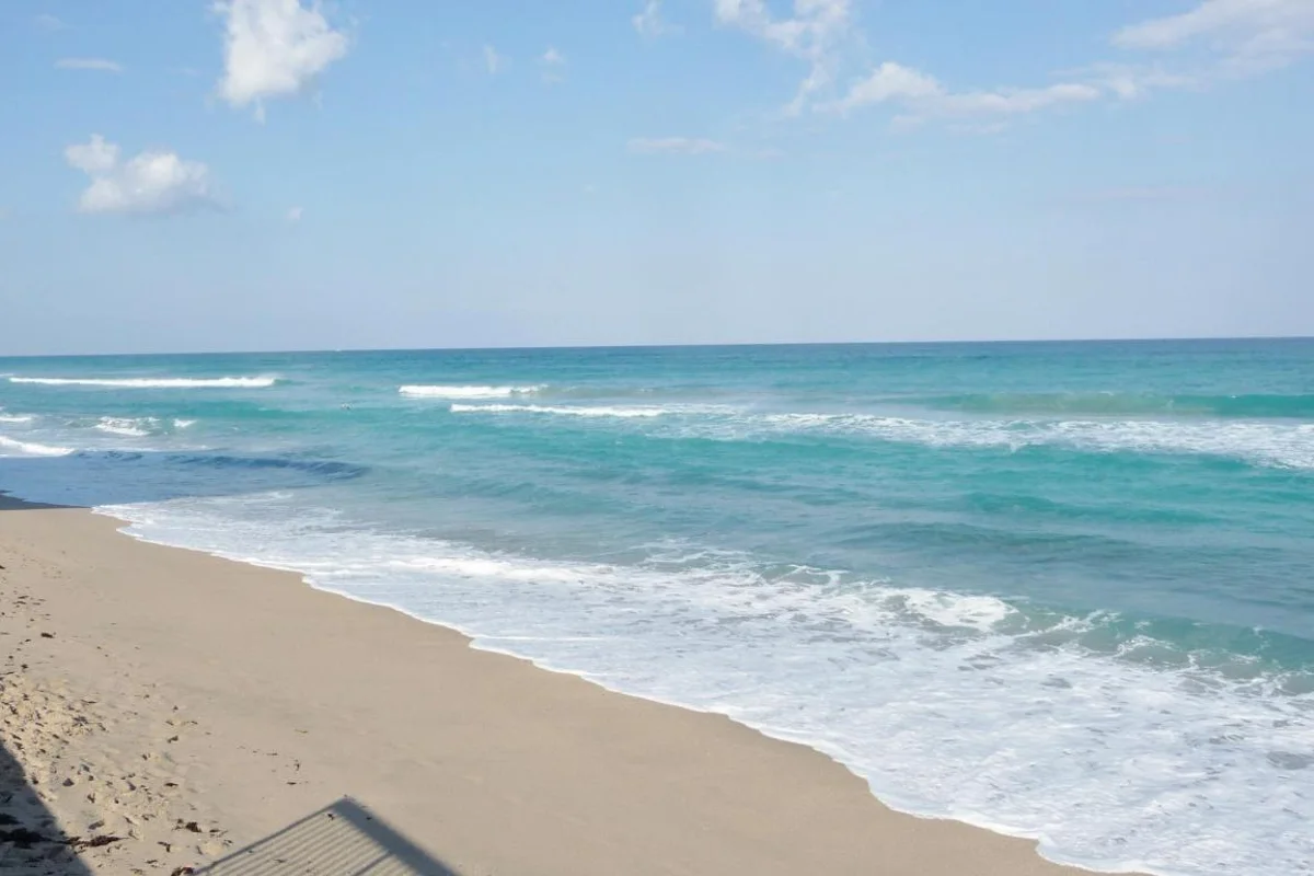 3450 S South Ocean Blvd S #223, Palm Beach: photo 1 of 20