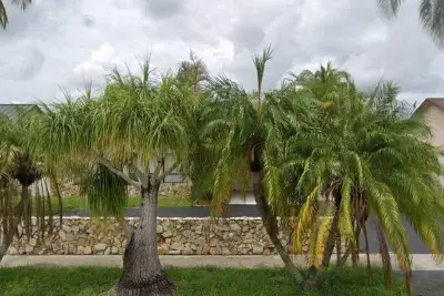2410 NW 102nd Way, Pembroke Pines: photo 1 of 1