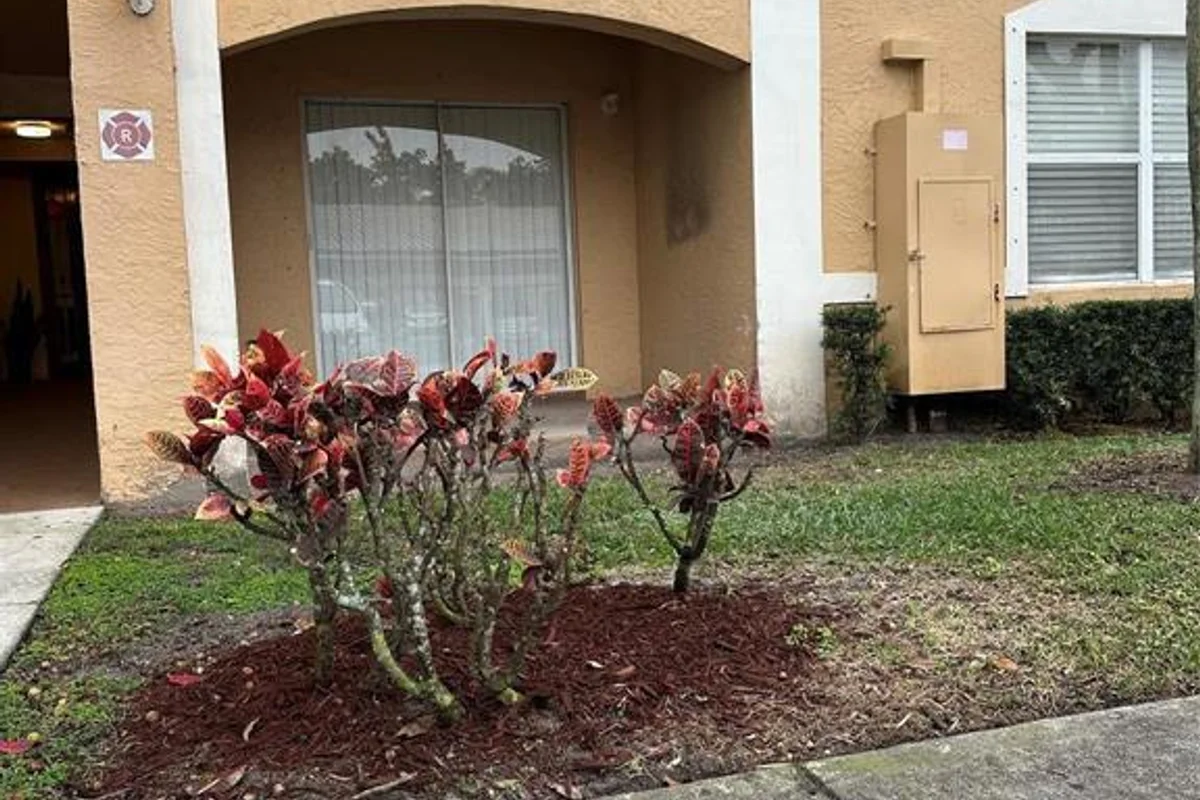 5570 NW 61st St #919, Coconut Creek: photo 1 of 1